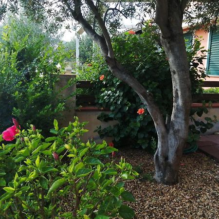 הוילה קיה La Casa Nel Borgo מראה חיצוני תמונה